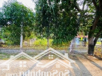 Lô Đất 2 Mặt Tiền Giá Rẻ Xã Cam Hoà Đường Ô Tô, Kdc An Toàn Đất Ở Gần Ql 1A,Sổ Sẵn Qh Mở Đường 13M.