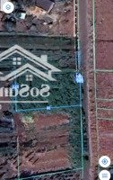 Bàu Chinh, 25X34M, Có 100M2 Thổ Cư, Shr, Đường Nhựa
