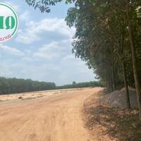 Cho thuê nhà xưởng 7.678 m2 Long Nguyên, Bàu Bàng, Bình Dương