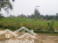 Bán Đất Nghỉ Dưỡng Xã Minh Quang, Ba Vì, Hà Nội