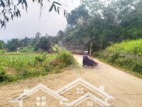 Bán Đất Nghỉ Dưỡng Xã Minh Quang, Ba Vì, Hà Nội