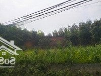 Bán Đất Nghỉ Dưỡng Xã Minh Quang, Ba Vì, Hà Nội