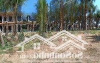 Bán Đất Resort Mặt Tiền Đường Lạc Long Quân, Tiến Thành 5500M2