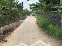 Ông Bà Cụ Lên Sống Gần Con Bán Vườn Cây Ăn Trái Long Khánh - Giá Chỉ 900 Triệu, Sổ Hồng Riêng Chính Chủ