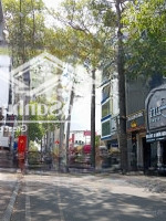 Bán Nhà Mặt Tiền Đường Trần Nhật Duật Quận 1, Dt: 8X25M, 4 Lầu, Giá Bán 60 Tỷ