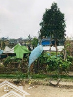 Cổ Loa, Đông Anh, Hà Nội Bán Gấp Đất 42M2 Giá Siêu Hời 2,2 Tỷ