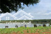 Kẹt Tiền Xả Lỗ Đất Phúc Thọ Sẵn Gần 300M2 Thổ Cư