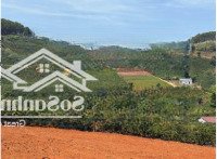 Bán Đất Phúc Thọ, Có Dân Cư Hiện Hữu