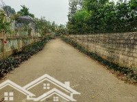 Hàng Hiếm Yên Bài. 600M. 300M Thổ Cư. Mặt Tiền Lên Tới 32M. Cách Dt87 Chỉ Vài Trăm Mét. 0988908583