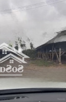 Trại Gà Tại Gia Kiệm Đang Cho Thuê 600 Triệu/Năm. Diện Tích 1,6 Mẫu Giá Bán 11 Tỷ