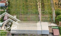 Đạ Tẻh-Lâm Đồng Chỉ 279 Triệu Sở Hũu Lô Đất Mặt Tiền Bê Tông Đủ Tiện Ích Cách Dt721 Chỉ 50M