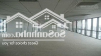 Cho Thuê Mặt Bằng Kinh Doanh Phố Lê Thái Tổ Diện Tích: 210M2, Mt: 25M, Siêu Phẩm Mặt Hồ Hoàn Kiếm