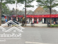 Bán Gấp Nhà Mặt Phố Nguyễn Khánh Toàn 125 Tỷ 200M2 Mặt Tiền 12M Đang Cho Thuê Cao