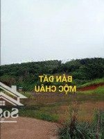 Bán Đất Bản Vặt Mộc Châu Sơn La -Diện Tích5.500 M2 Phù Hợp Xây Homestay, Khu Nghỉ Dưỡng Giá Bán 8.5 Tỷ.