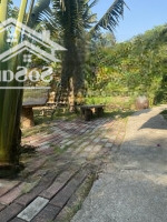 Bán Nhà Vườn Kdc Hiện Hữu,Hẽm Xe Hơi6M Nhựa, Xã Nhơn Đức Nhà Bè
