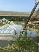 Bán Nhà Vườn Kdc Hiện Hữu,Hẽm Xe Hơi6M Nhựa, Xã Nhơn Đức Nhà Bè