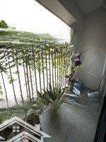 Cho Thuê Cc Đẹp Xuất Sắc Ở Nguyễn Đức Cảnh, 12 Triệu, 76M2, Hoàng Mai, Hà Nội