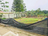 Bán Gấp Đất Đẹp Tại Đường 446, Xã Bình Yên, Thạch Thất, Hà Nội, Giá Thỏa Thuận, 620M2