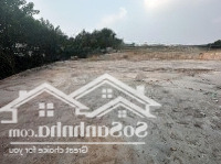 Hàng Hiếm Tại Nguyễn Tất Thành, Liên Bảo, Vĩnh Yên, Vĩnh Phúc, 55 Tỷ, 4500M2