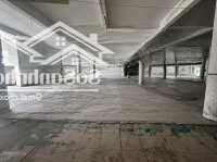Hàng Hiếm Tại Nguyễn Tất Thành, Liên Bảo, Vĩnh Yên, Vĩnh Phúc, 55 Tỷ, 4500M2