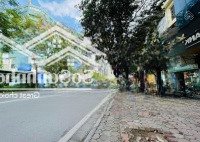 Cho Thuê Toà Building Vị Trí Đẹp Tại Láng Hạ: 230M2 X7 Tầng,Mặt Tiền8M, Thông Sàn, Thang Máy Rộng