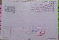 Bán Đất Mặt Tiền Mai Hắc Đế (Sổ Hồng Riêng)