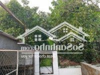 Bán Nhà Vườn Đường Xe Tải Có 370M2 Thổ Cư Nhà Cấp 4 Còn Rất Mới Có Vườn Măng Cụt Đang Thu Hoạch