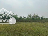 Chính Chủ Bán Lô 1000M2 Full Đất Ở Tại Hồ Đại Lải