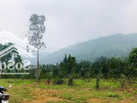 Cần Bán Lô Đất Rất Phù Hợp Làm Khu Nghỉ Dưỡng Chỉ Cách Bigc Thăng Long 30Km
Diện Tích Hơn 6300M/