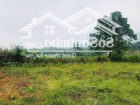 Cần Bán Lô Đất Rất Phù Hợp Làm Khu Nghỉ Dưỡng Chỉ Cách Bigc Thăng Long 30Km
Diện Tích Hơn 6300M/