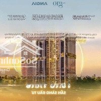 Chỉ Cần Booking - Chắc Chắn Có Căn - Giỏ Hàng Trực Tiếp Cđt - Mua Đợt Đầu Chỉ Với 160 Triệu (10%)