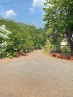 33M Mặt Tiền Đường Nhựa Ở Bình Phước Có Cây Ăn Trái, View Hồ. Chính Chủ Bán 450 Triệu