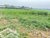 E Có Mấy Lô Giá Ngoại Giao Đang Ở Giai Đoạn 1 Dành Cho Nhà Đầu Tư Nhanh.ở Hoà Thạch.quốc Oai.hà Nội