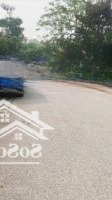 Chính Chủ E Bán Một Lô Đất Đẹp Trên Đường Trần Thánh Tông. 5,01X20M. Thổ Cư