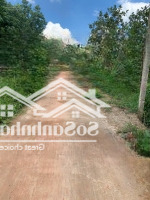 Cần Bán Gấp Đất H. Đồng Phú, Bình Phước, 3100M2, Thổ Cư 100M2
