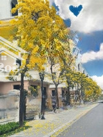 Duy Nhất Căn Ánh Dương 80M - Đẹp Nhất Dự Án Có Hơn 100 Triệu/M2