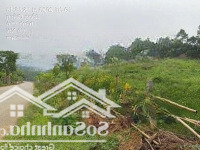Bán Lô Đất Đẹp Tiềm Năng Đông Xuân, Quốc Oai, Hà Nội.diện Tích4466M2 Có 400M2 Đất Ở Còn Lại Đất Vườn
