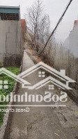 Cần Bán Đất Giáp Ngọ, Đường Ô Tô Tránh, Thông Tứ Tung