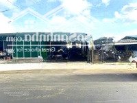 Lô Đất Đẹp Thế Này Mà Không Ai Mua Cũng Phí Thật Sự !!!