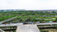 Giá Chỉ Từ 5X Tr/M - Shophouse Nhà Phố Majestics City