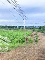 250M2 Đất Thôn 8, Cưebur, Giá Chỉ 850 Triệu