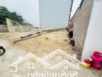 Chính Chủ Bán Mảnh Đất 55M2 Siêu Đẹp Siêu Tiềm Năng Tại Thông Yên Hà