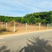 Bán 1000m2 sẵn 200m thổ cư đường nhựa Nguyễn Huệ toàn nhà biệt thự xã Phước Hội , Long Đất