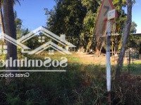 Bán Đất Nền 291M² Tại Cam Tân, Cam Lâm Giá Chỉ 950 Triệu Sổ Đỏ Sẵn Sàng Miễn Trung Gian