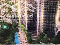 Hàng Độc Studio Trục View Biển, View Bể Bơi, View Bãi Tắm Giá Tốt Nhất Thị Trường