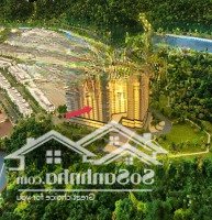 Hàng Độc Studio Trục View Biển, View Bể Bơi, View Bãi Tắm Giá Tốt Nhất Thị Trường