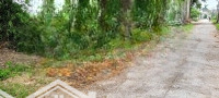 Bán 2000 M2 Đất 3 Mặt Tiền Ngang 60M Thổ Cư 100% Phú Thọ - Dân Hòa - Thanh Oai.