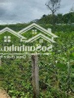 Chính Chủ Bán Đất Hòa Phú, Hòa Vang, Đà Nẵng, Giá Chỉ 5,5 Tỷ, Liên Hệ: 0934888092