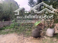 71,5M Full Chính Chủ Tại Nội Phật -Mai Đình ,Cơ Hội Tốt Cho Quý Đầu Tư .Sổ Đẹp Giao Dịch Nhanh