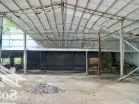 Chỉ Với 5.5 Tỷ Để Sở Hữudiện Tíchgần 400M2 Đất Ở - Đường 5M5 Tôn Đản Nối Dài - Trung Tâm Thể Thao Cẩm Lệ